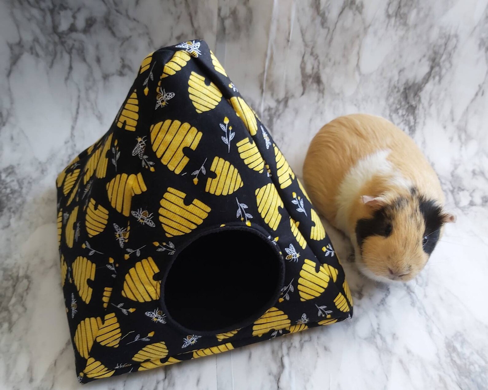 guinea pig hides guinea pig hides
