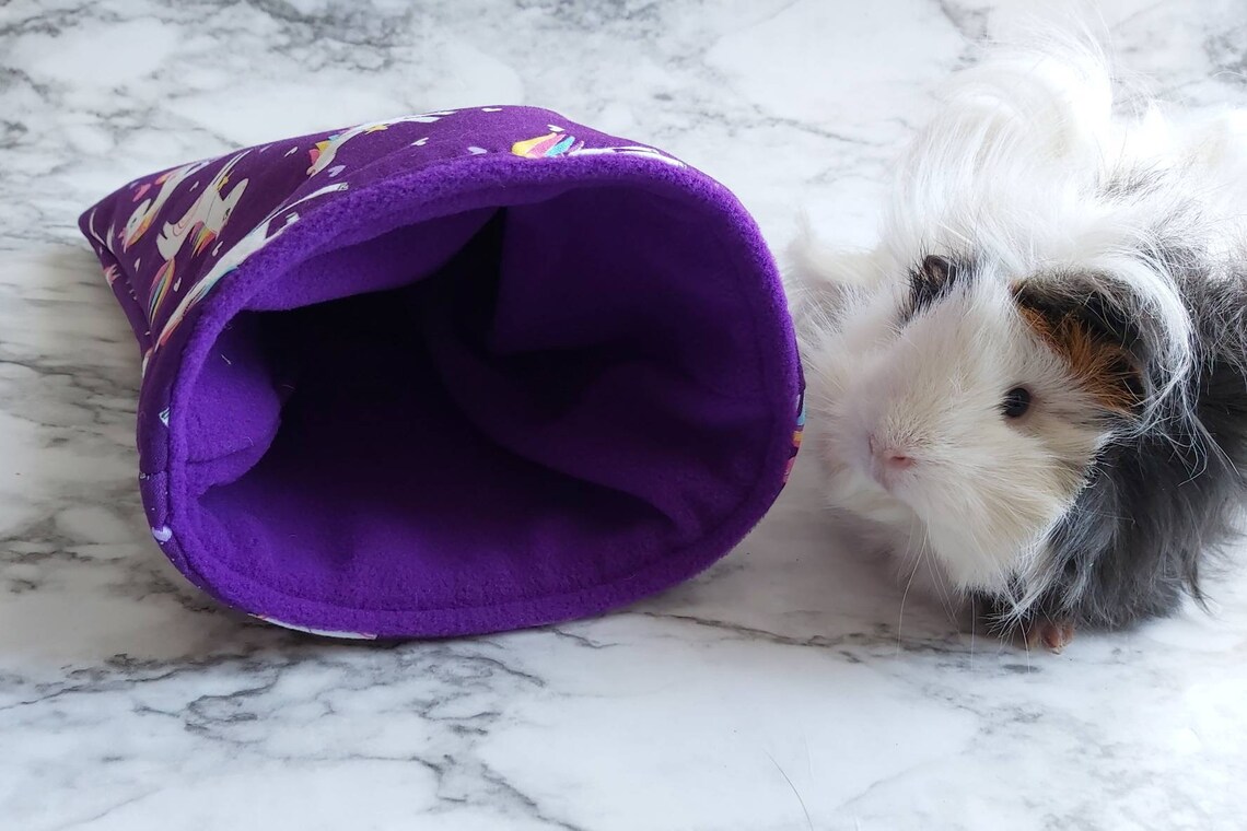 Guinea Pig Cozy Sack Hedgehog snuggle Pouch Guinea Pig Etsy