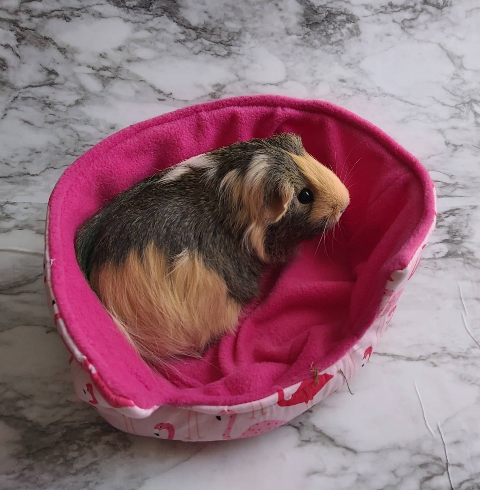 Guinea Pig Bed Guinea Pig Cuddle Cup Hedgehog Bed Hedgehog Etsy