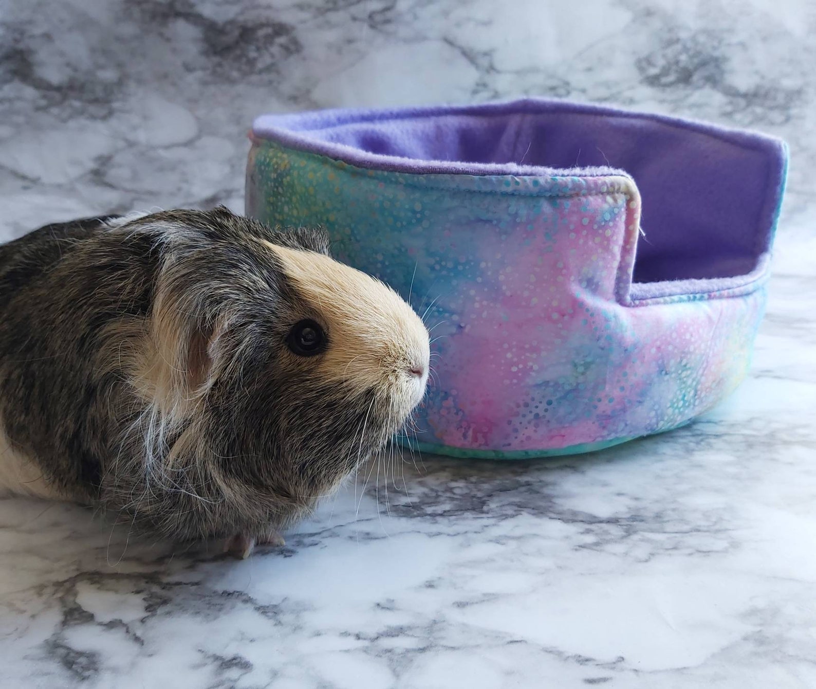 Guinea Pig Bed Guinea Pig Cuddle Cup Hedgehog Bed Hedgehog Etsy