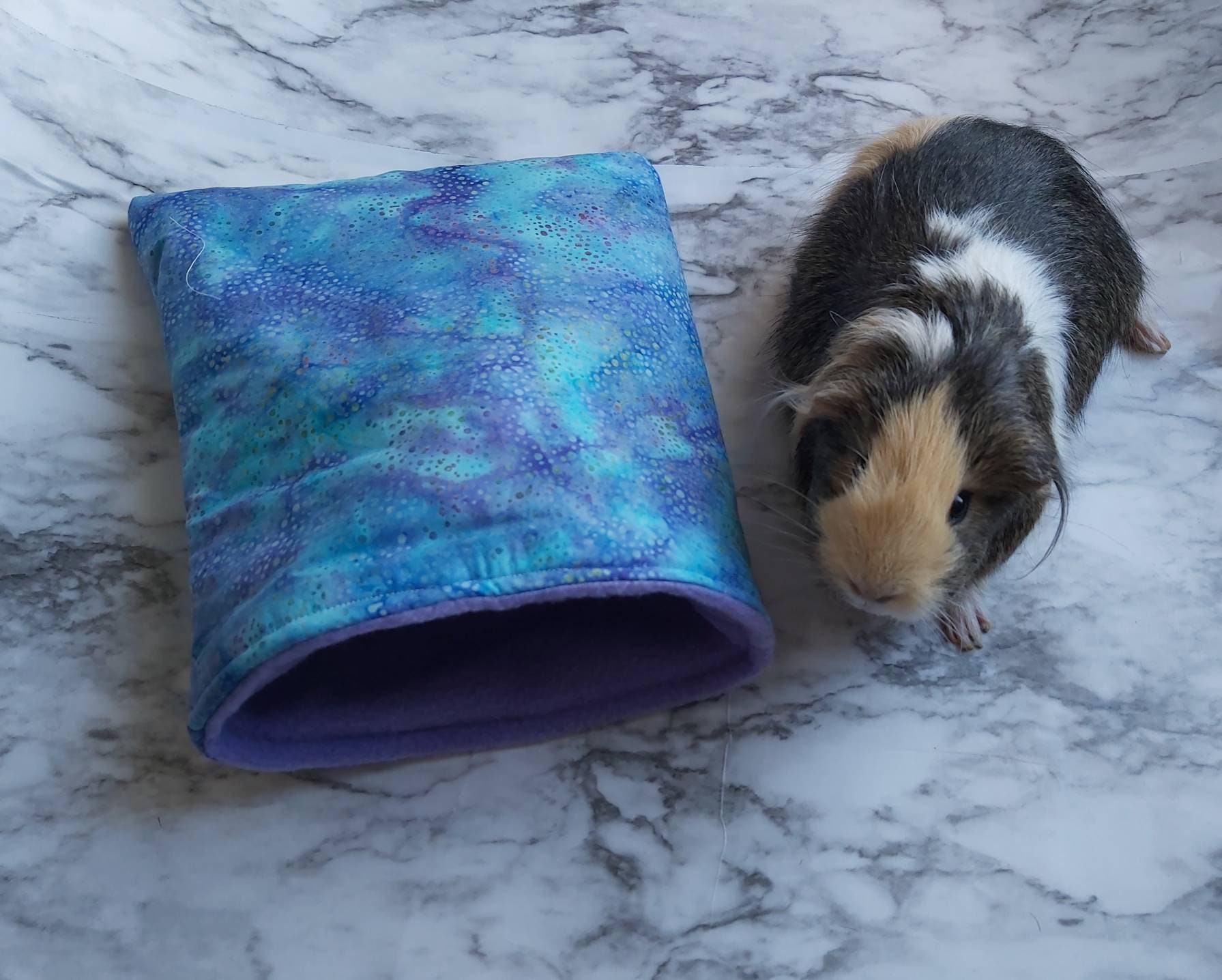Guinea Pig Cozy Sack Hedgehog snuggle Pouch Guinea Pig Etsy