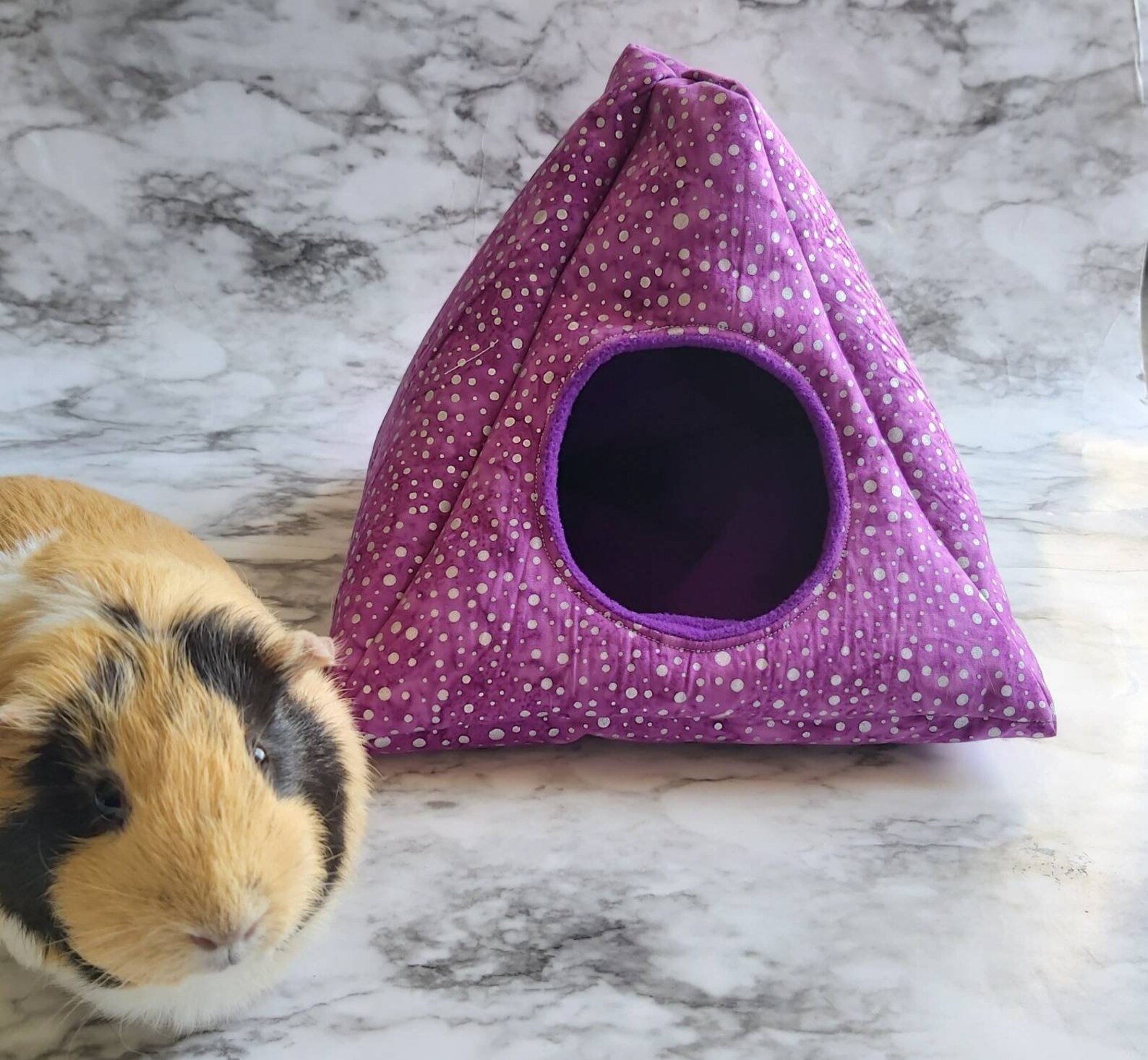 Guinea Pig Tee Pee Guinea Pig Bed Hedgehog Hide Hedgehog Etsy