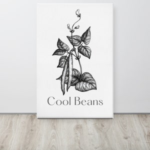 Canvas - Cool Beans