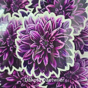 Peut inclure: Plusieurs autocollants représentant une illustration détaillée d'un dahlia violet avec des gouttelettes d'eau. Les autocollants ont un bord blanc et le texte "Dakota Daetwiler" est imprimé en bas.