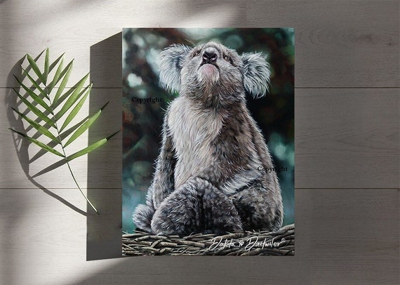 Prints of sad Koala by Dakota Daetwiler - Etsy