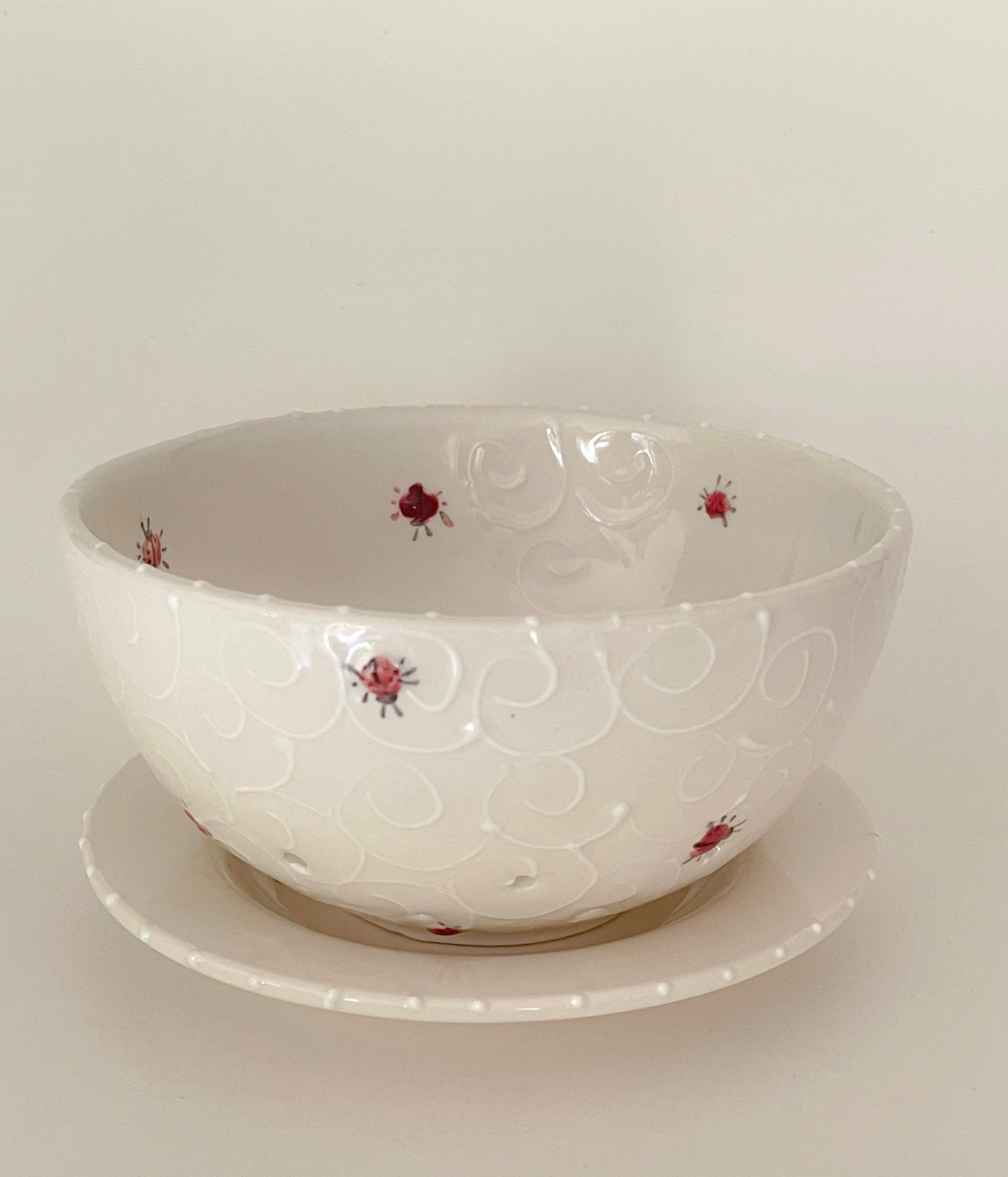 Ceramic berry bowl with saucer hand painted with ladybugs. Etsy