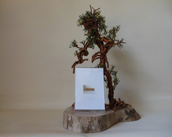 Wire Trees,Wire Tree Sculpture,Tree Spirit,Spirit Trees,Tree of Life,Wire Art,Wire Sculpture,Metal Sculpture,Copper Wire Trees,Free Shipping