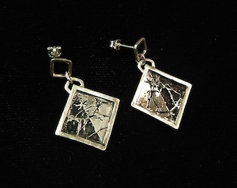 Golgi Stain Earrings (Square)