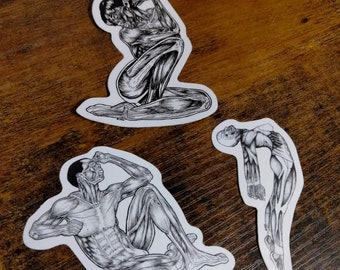 Anatomical figure stickers collection