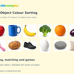 Real Object Colour Sorting Cards Activities Printable