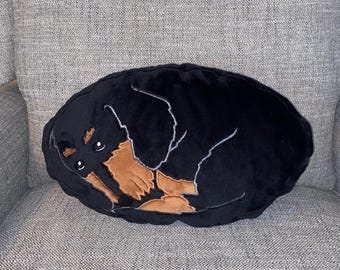 Wirehaired Dachshund Pillow: Soft Minky Doxie Decorative Pillow