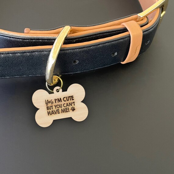 Engraved Dog Dog s For Dogs Dog Name Dog Name By Icustomwater Catch My Party