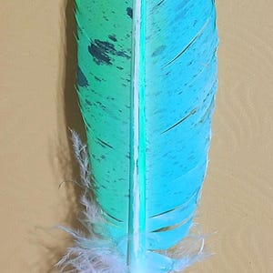 May include: A decorative feather pen with a vibrant design. The feather is split with green and blue hues, a white center, and a silver metal tip. The pen is adorned with a string of colorful beads and a pink bead.