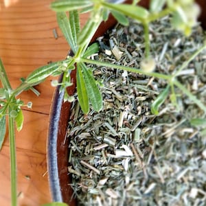 ORGANIC Cleavers Dried Herb - Galium aparine