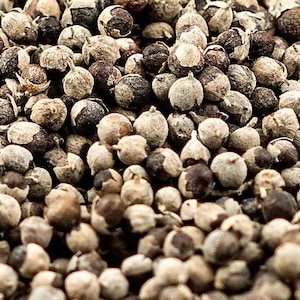 ORGANIC Vitex Dried Herb - Vitex Agnus Castus - Berries - 500g
