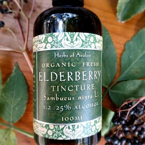 Teinture artisanale de sureau BIOLOGIQUE 1:2 Sambucus nigra