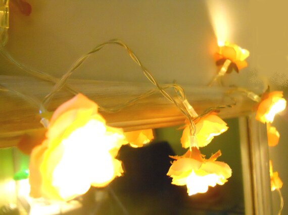 Rose Flower Fairy Light Peach String Light Bedroom Decor Vintage Wedding Bridal Decor Rose Lights