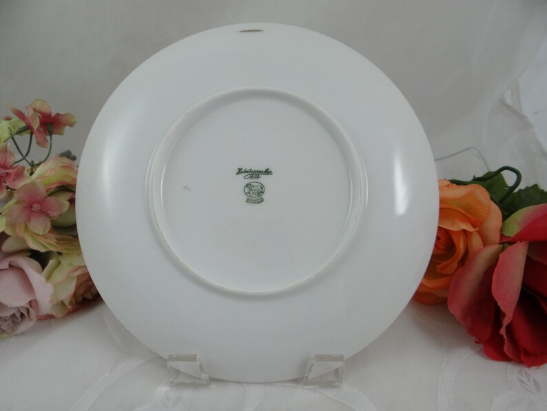 1960s Hutschenreuther Fruit Salad Plate Apple Charming