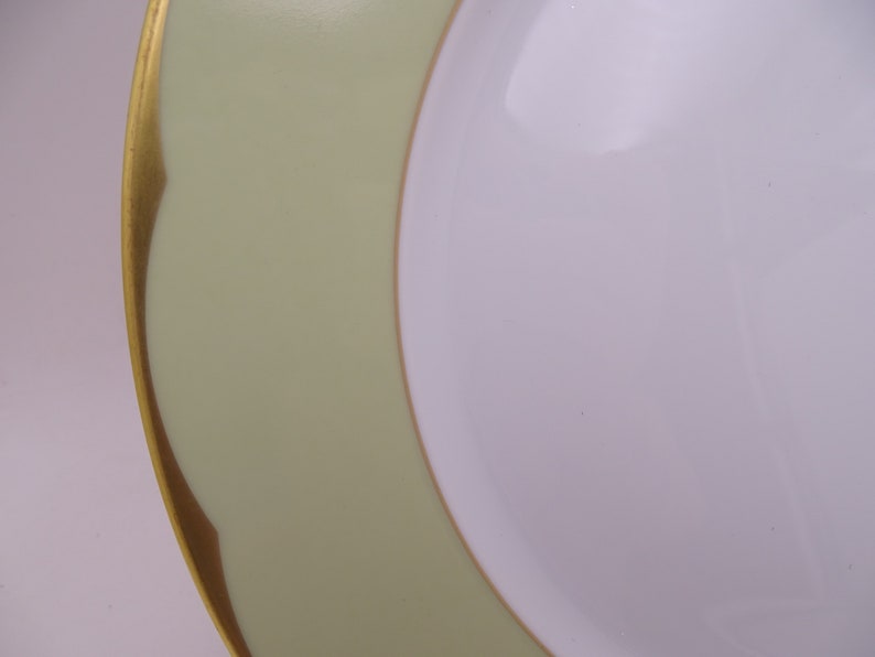 Vintage Haviland Limoges France Green illusion Etsy