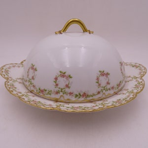 1900s Vintage Factory Decorated Haviland & Co Limoges France Butter Strainer or Cheese Dish with Lid Made for John Carson Bros Chicago