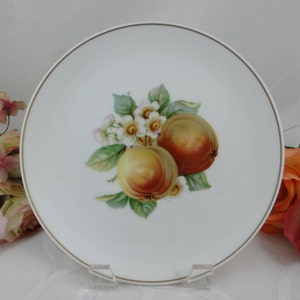 1960s Hutschenreuther Fruit Salad Plate &quot;Apple&quot; Charming