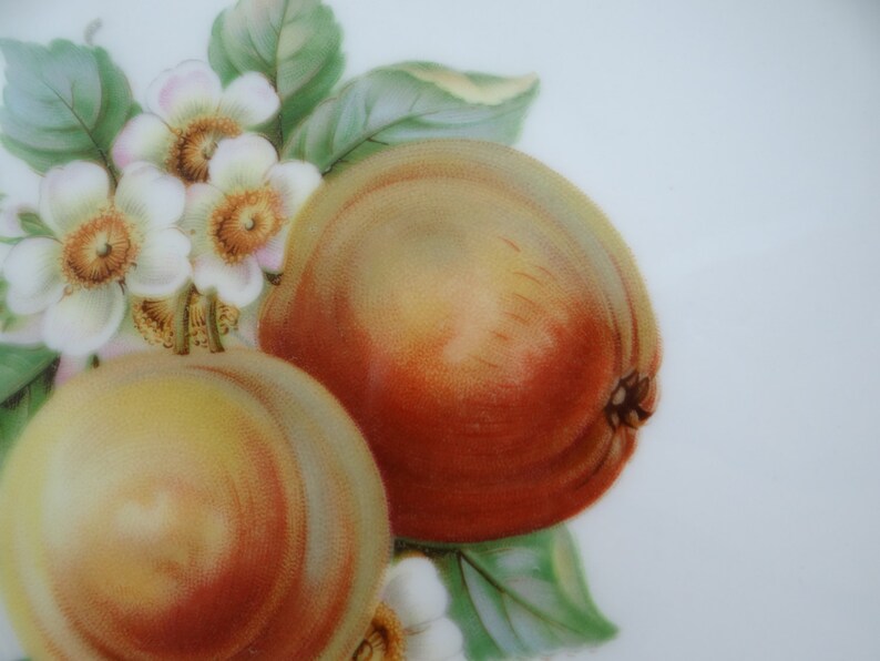 1960s Hutschenreuther Fruit Salad Plate Apple Charming