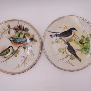 Vintage Set of 2 Hand Painted and Artist Signed Enesco Japan Bird Plates