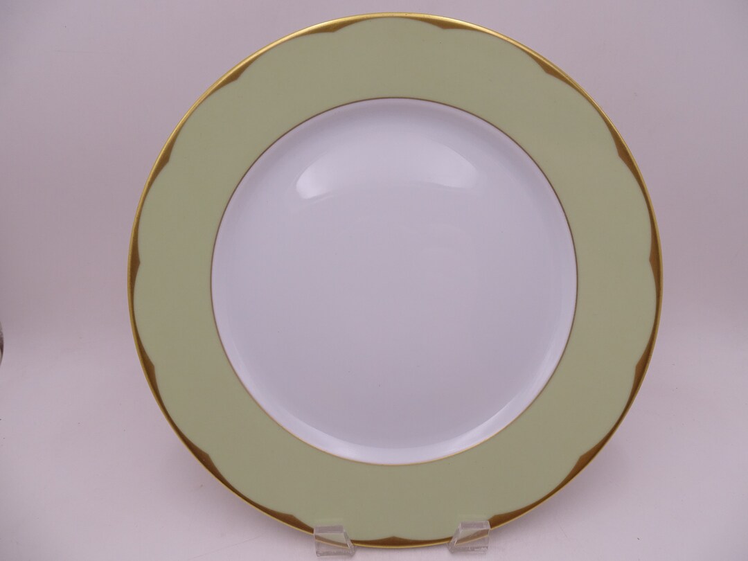 Vintage Haviland Limoges France Green illusion Etsy