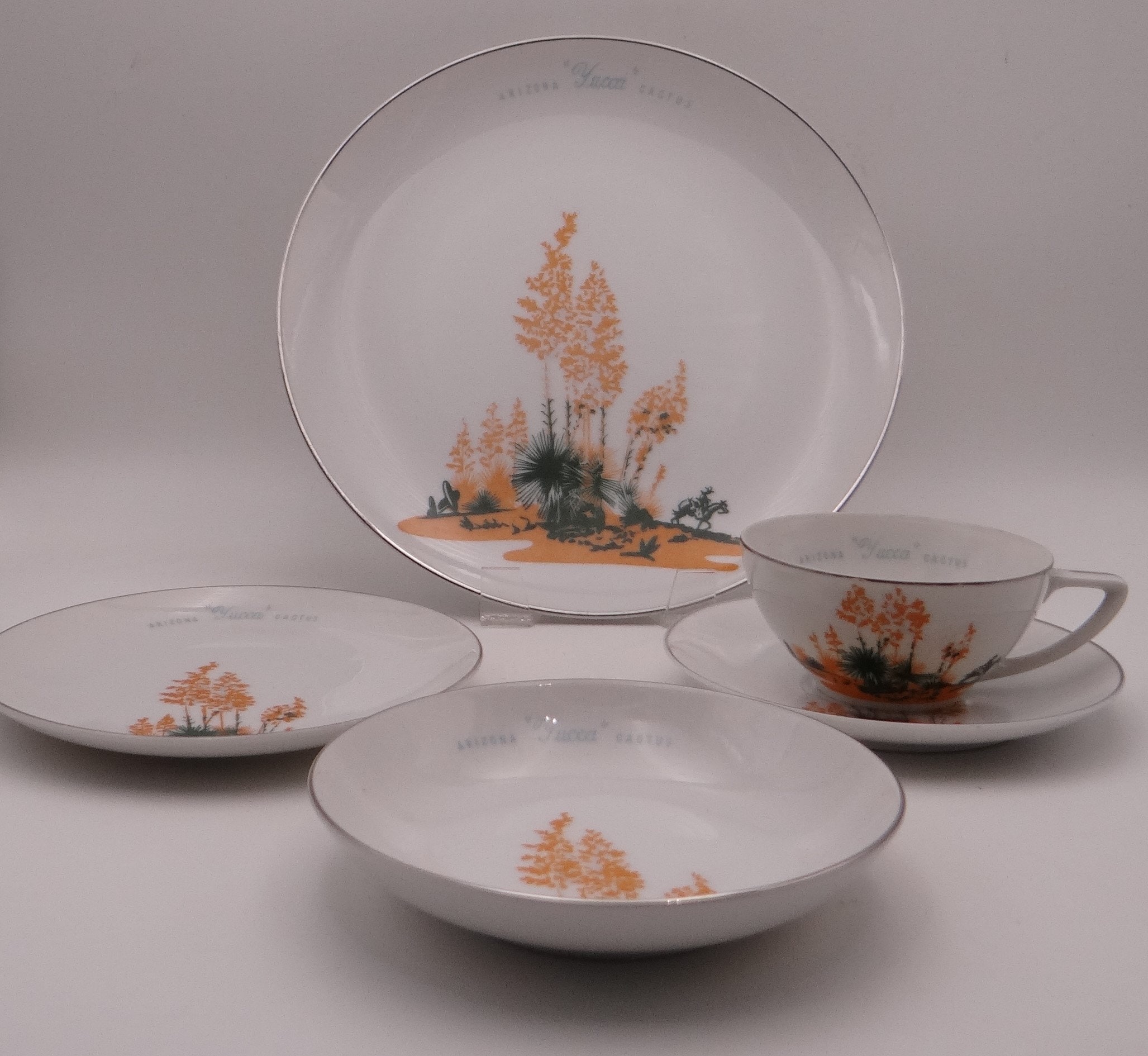 Cactus Dinnerware Etsy