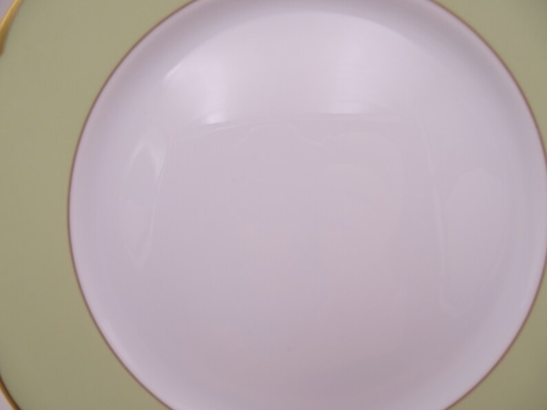 Vintage Haviland Limoges France Green illusion Etsy