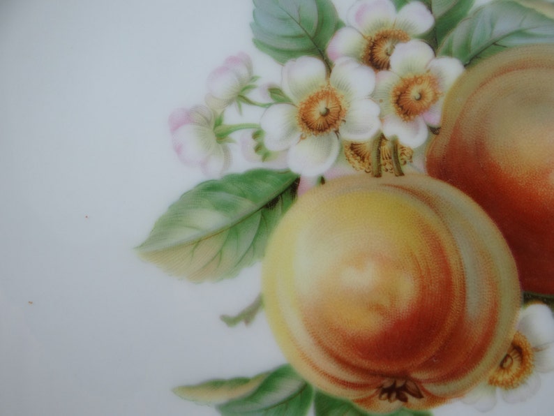 1960s Hutschenreuther Fruit Salad Plate Apple Charming