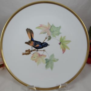 1960s Hutschenreuther Audubon Salad Plate &quot;Redstar&quot; Bird Absolutely Delightful