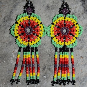Peyote de los Huicholes con cuentas pendientes H-2