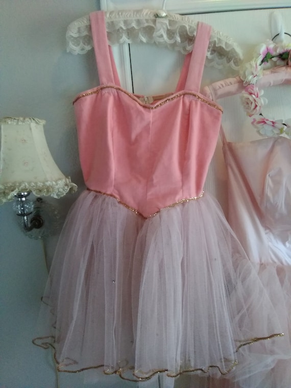 Gorgeous Vintage Pink Velvet and Tulle Ballet Cost