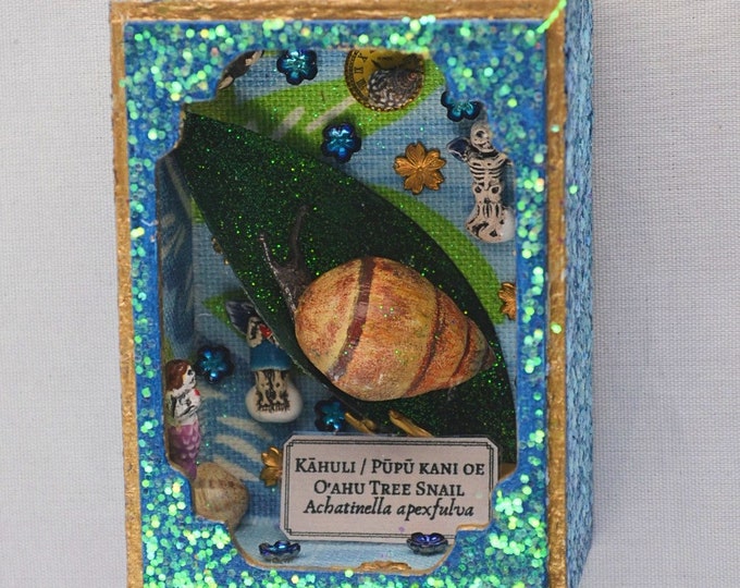 O'ahu Tree Snail Shrine Extinct Animal Shrine Hawaiian Etsy