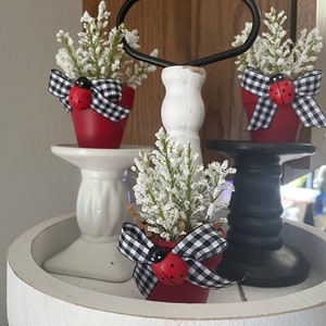 May include: Three small red flower pots with white and black checkered ribbon bows and a ladybug accent. The pots are sitting on a tiered white tray with black and white pedestals.
