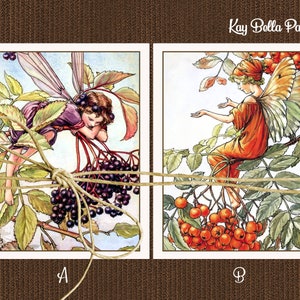 Set of 10 FAIRY Blank Note Cards, Cicley Barker Vintage Style Flower Fairy Note Cards And Envelopes,Elderberry and Mountain Ash