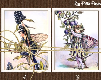 Set of 10 FAIRY Blank Note Cards, Cicley Barker Vintage Style Flower Fairy Note Cards And Envelopes,Privet and Sloe