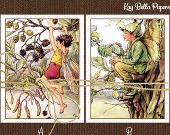 Set of 10 FAIRY Blank Note Cards, Cicley Barker Vintage Style Flower Fairy Note Cards And Envelopes,Adler and Lime Tree
