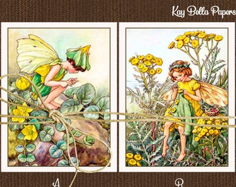 Set of 10 FAIRY Blank Note Cards, Cicley Barker Vintage Style Flower Fairy Note Cards And Envelopes,Twopence and Tansy