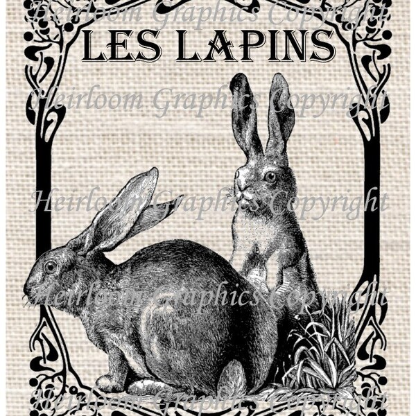 Rabbit Iron On Digital Transfer French Les Lapins Rabbit Transfer