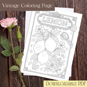 Vintage Lemon Coloring Page – Digital Download | Elegant Tea-Time Kitchen Art | Floral Fruit Printable for Adults & Teens