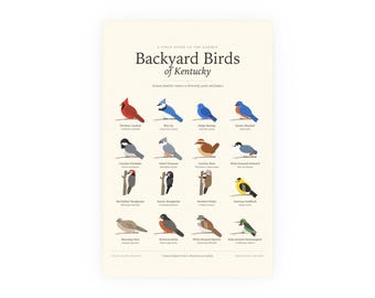 Backyard Birds of Kentucky Poster Print, Identification Chart with Latin Names, Wall Art