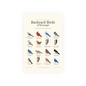 Backyard Birds of Mississippi Poster Print, Identification Chart with Latin Names, Wall Art