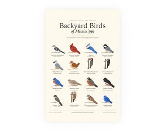Backyard Birds of Mississippi Poster Print, Identification Chart with Latin Names, Wall Art