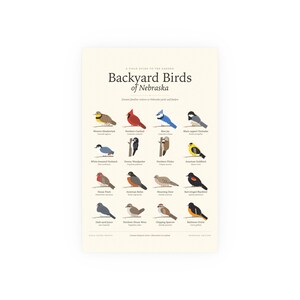 Backyard Birds of Nebraska Poster Print, Identification Chart with Latin Names, Wall Art