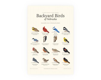 Backyard Birds of Nebraska Poster Print, Identification Chart with Latin Names, Wall Art