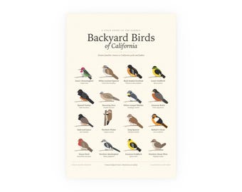 Backyard Birds of California Poster Print, Identification Chart with Latin Names, Wall Art