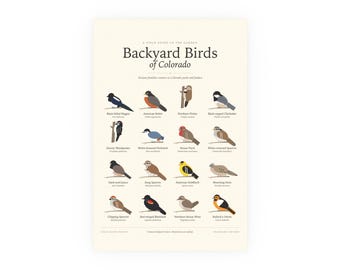 Backyard Birds of Colorado Poster Print, Identification Chart with Latin Names, Wall Art