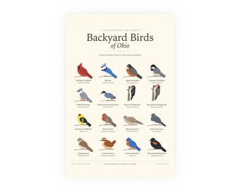 Backyard Birds of Ohio Poster Print, Identification Chart with Latin Names, Wall Art